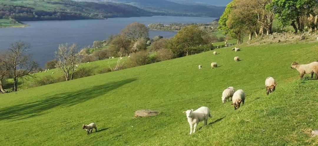 Lake View Farmhouse Escape Bala Exterior foto
